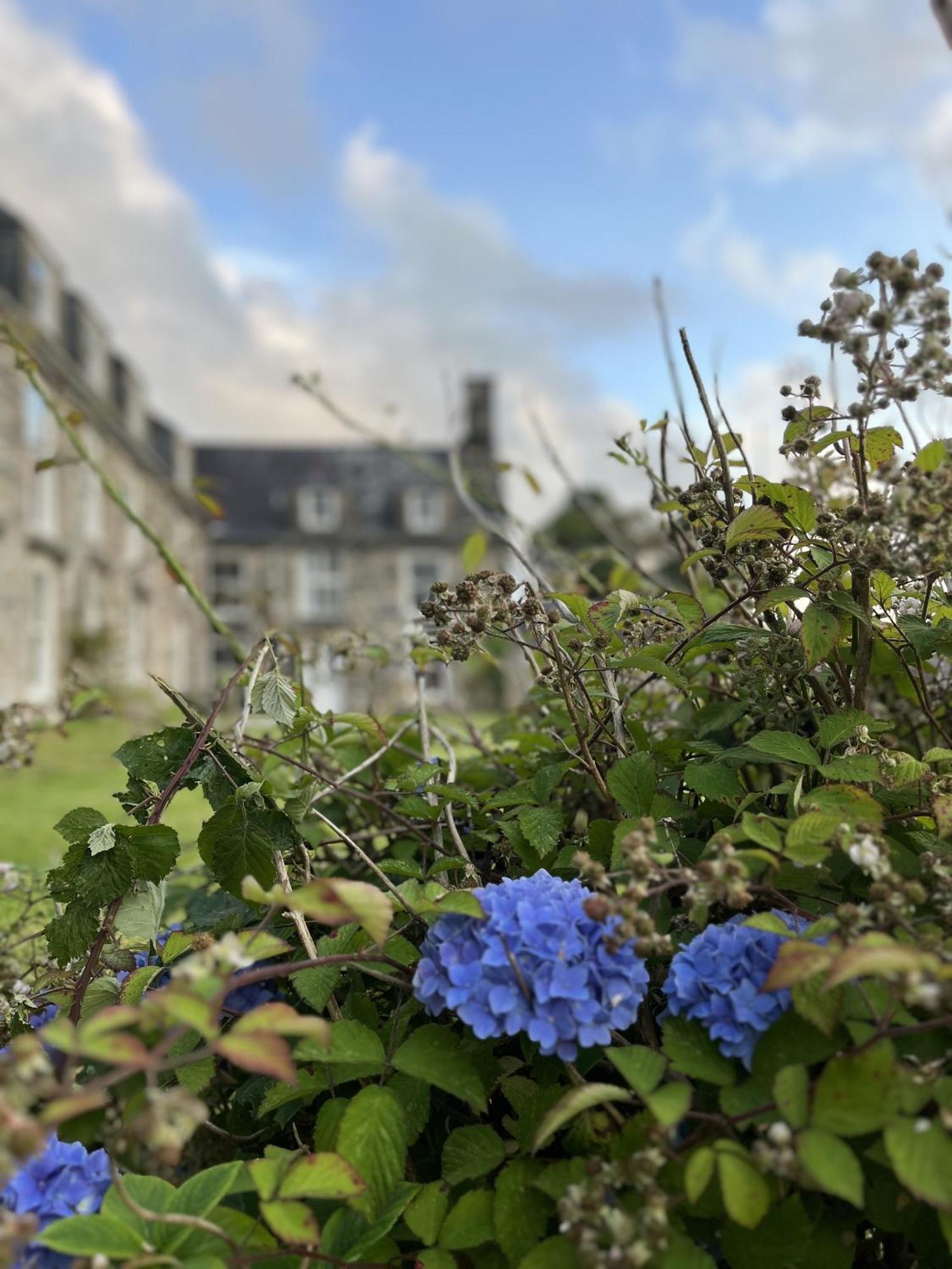 Maes Y Neuadd Talsarnau Habitación foto